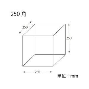 ヘイコー アクリルサイコロ 5面体 250角 1個 FC169SB-007307910-イメージ4