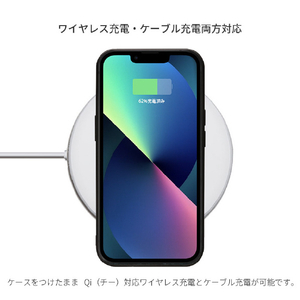 ikins iPhone 16 Pro Max用天然貝ケース Milky way I27114I16PM-イメージ8
