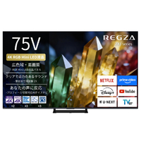 TVS REGZA 4K RGB-Mini LED液晶 REGZA 75ZX3S