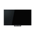 TVS REGZA 4K RGB-Mini LED液晶 REGZA 75ZX3S-イメージ11