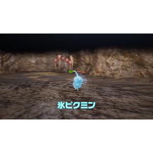 任天堂 Pikmin 4【Switch】 HACPAMPYA-イメージ4