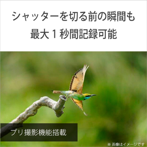 SONY ミラーレス一眼カメラ α ILCE-7M5M-イメージ10