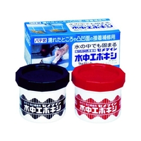 セメダイン 水中エポキシ 1kgセット水の中でも固まる AP-001 FC587FE-3309606