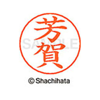 シヤチハタ ネームペン用ネーム シルバー 既製 芳賀 FC47441-X-GPS-1670