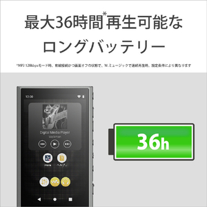 SONY デジタルオーディオ(64GB) ウォークマン グレー NW-A307 H-イメージ6