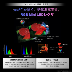 TVS REGZA 4K RGB-Mini LED液晶 REGZA 100ZX3S-イメージ4