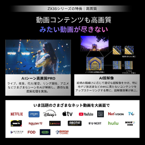 TVS REGZA 4K RGB-Mini LED液晶 REGZA 100ZX3S-イメージ6