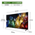TVS REGZA 4K RGB-Mini LED液晶 REGZA 100ZX3S-イメージ3