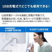 ソニッケア HX3826/34 ソニッケアー 口腔洗浄機 コードレス