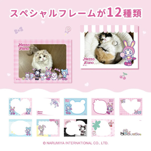 TOKOTOYZ メゾピアノ デジタルトイカメラ ベリエちゃん ﾒｿﾞﾋﾟｱﾉﾃﾞｼﾞﾀﾙﾄｲｶﾒﾗﾍﾞﾘｴﾁﾔﾝ-イメージ3