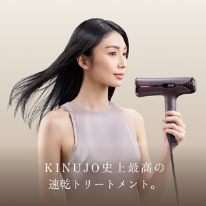 KINUJO KINUJO シルクプレミアムドライヤー アーバンブラウン HP001-BR-イメージ6