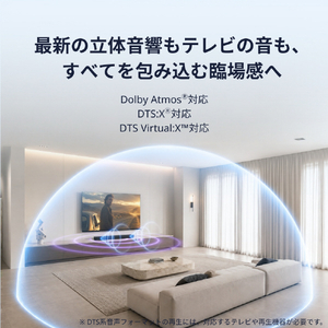 TVS REGZA REGZAサウンドシステム RA-B200-イメージ5