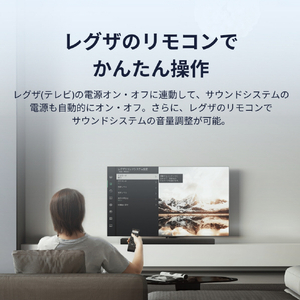 TVS REGZA REGZAサウンドシステム RA-B200-イメージ7