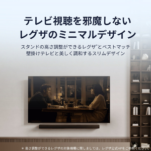 TVS REGZA REGZAサウンドシステム RA-B200-イメージ8