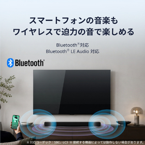 TVS REGZA REGZAサウンドシステム RA-B200-イメージ9