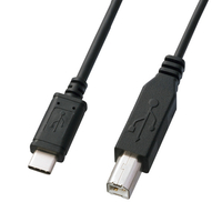 サンワサプライ USB2．0 Type C-Bケーブル(2m) ブラック KU-CB20
