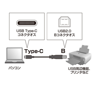 サンワサプライ USB2．0 Type C-Bケーブル(2m) ブラック KU-CB20-イメージ2
