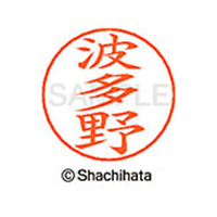 シヤチハタ ネームペン用ネーム シルバー 既製 波多 FC47445-X-GPS-1674