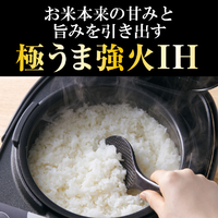 タイガー JPW-X100HD IH炊飯ジャー(5．5合炊き) ダークグレー