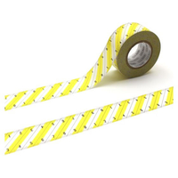 カモ井 mt for PACK ストライプ定規 FCE505L-MTPACK21