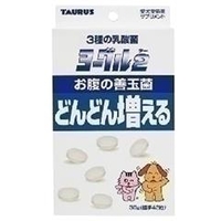トーラス ヨーグル2 善玉菌 30g ﾖ-ｸﾞﾙ2ｾﾞﾝﾀﾞﾏｷﾝ30G