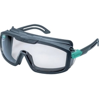 uvex UVEX/一眼型保護メガネガード付き アイレンジシリーズ アイガード FC690XR-3818083