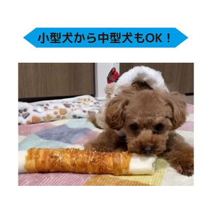 ペットプロジャパン BIGガム ささみ巻き 1本入り FC413NW-イメージ6