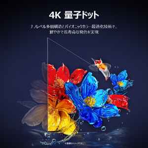 TCL 85V型4Kチューナー内蔵4K対応液晶テレビ P8Kシリーズ 85P8K-イメージ19