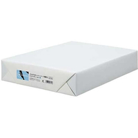 スマートバリュー カラーペーパー特厚口A3 空 500枚 FC809RJ-A284J-5
