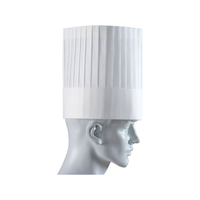 ADVANCE パリスハット 10枚入 PH-201NT 薄型 20cm FC717LY-8672800