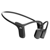 美品　AVIOT ⾻伝導イヤホンWB-P1 WB-P1 製品情報｜AVIOT