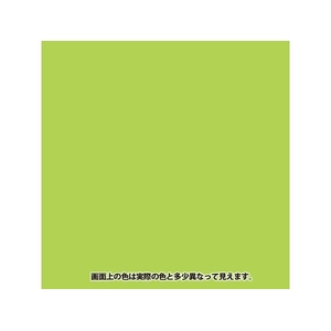カンペハピオ ヌーロ 夜光グリーン 8ml FCB297M-イメージ2