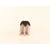 たかもり たかもりの生抜 竹 中 #2 FC74796-イメージ1