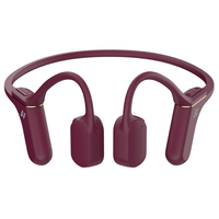 AVIOT WB-P1 ダークルージュ 骨伝導イヤホン WB-P1 製品情報｜AVIOT