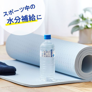 キリンビバレッジ 自然が磨いた天然水 600ml×48本 FCJ075U-イメージ4