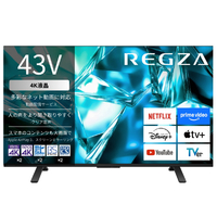 TVS REGZA 4K 液晶REGZA 43M550S