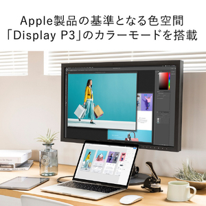 EIZO ColorEdge CS3200X CS3200X-BK-イメージ6
