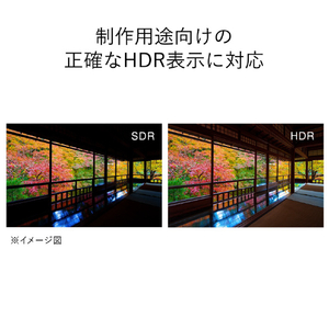 EIZO ColorEdge CS3200X CS3200X-BK-イメージ7