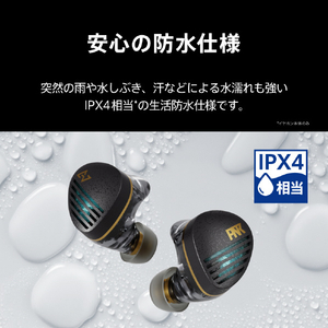 AVIOT トゥルーワイヤレスイヤホン 【ピエール中野コラボ】 TE-Z1PNK-イメージ18