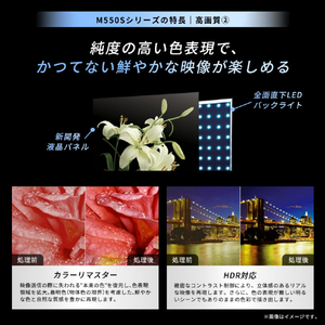 TVS REGZA 4K 液晶REGZA 55M550S-イメージ4