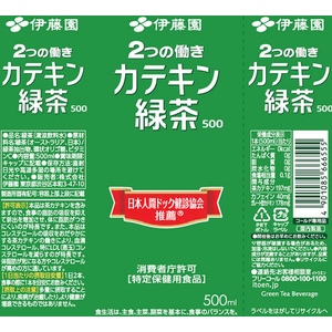 伊藤園 2つの働きカテキン緑茶 500mL FCJ903K-イメージ2