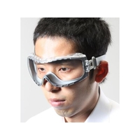 エスコ ゴーグル クリアー アンティフォグ FCX4149-EA800EA-24