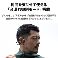 AVIOT WB-E1M-SL 骨伝導イヤフォン Openpiece Elite titanium silver