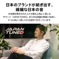 AVIOT WB-E1M-SL 骨伝導イヤフォン Openpiece Elite titanium silver