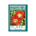 ショウワノート ジャポニカ学習帳 こくご 12マス 12マス十字リーダー入り1冊 F820572-JL-9