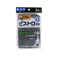 サンベルム ビストロ先生 油残さずキレイふきん 2枚入 グレー FCJ378P-K73511