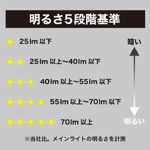 ヤザワ 24時間タイマーナイトライト ホワイト NASWL76-イメージ9