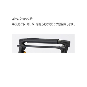 ウィズワン ライトステップTNWヌーボーレガロモノトーン ﾗｲﾄｽﾃﾂﾌﾟTNWﾇ-ﾎﾞ-ﾚｶﾞﾛMTN-イメージ7