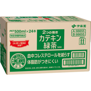 伊藤園 2つの働きカテキン緑茶 500mL×24本 FCJ904K-イメージ2