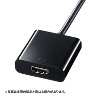 サンワサプライ DisplayPort-HDMI 変換アダプタ ブラック AD-DPPHD01